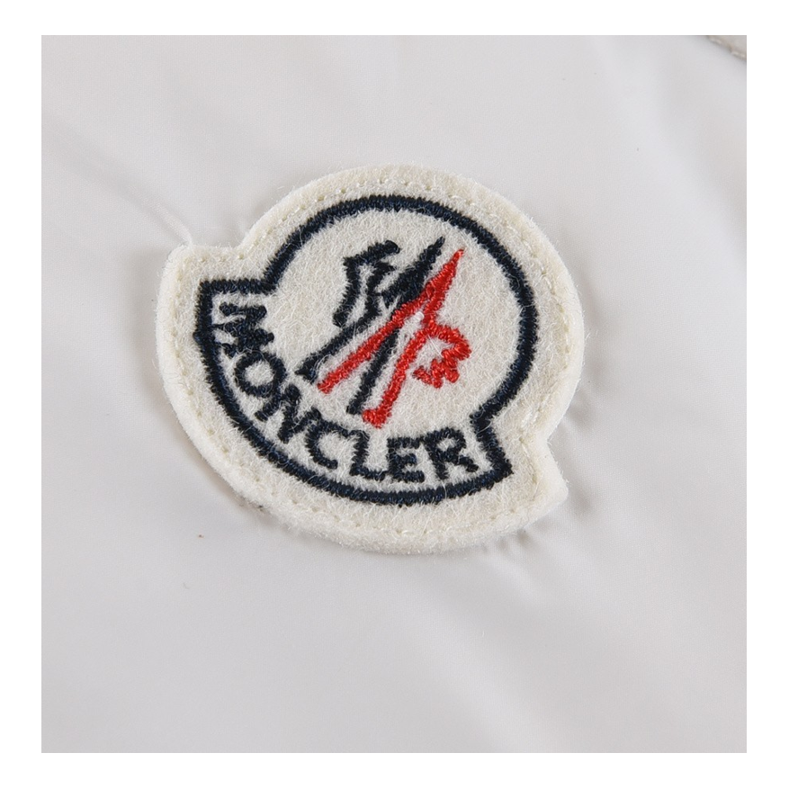 Moncler Tricolour Sleeve-Stripe Glossy Hooded Puffer Jacket | Premium Down