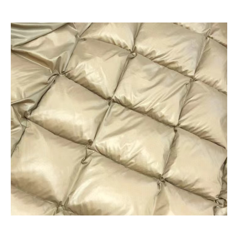 Moncler Gold-Lined Glossy Long Puffer Coat | Black | Premium Down